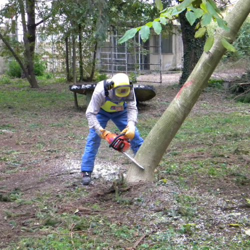 Addestramento a Perteole del 10/11/12 n. 48 / 88156