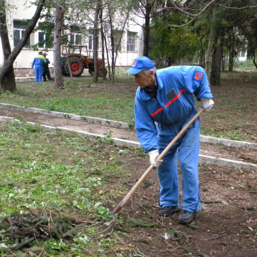Addestramento a Perteole del 10/11/12 n. 49 / 88157