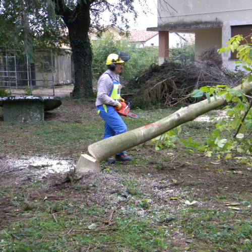 Addestramento a Perteole del 10/11/12 n. 50 / 88158