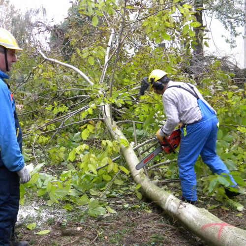 Addestramento a Perteole del 10/11/12 n. 51 / 88159