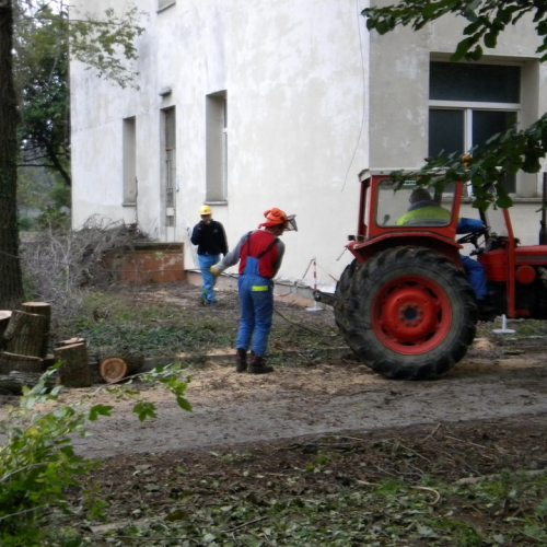 Addestramento a Perteole del 10/11/12 n. 52 / 88160