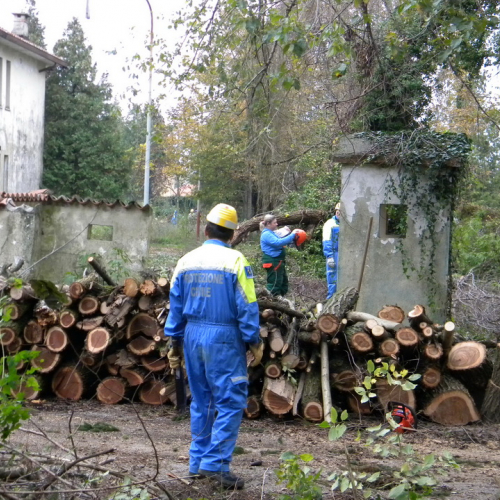 Addestramento a Perteole del 10/11/12 n. 53 / 88161