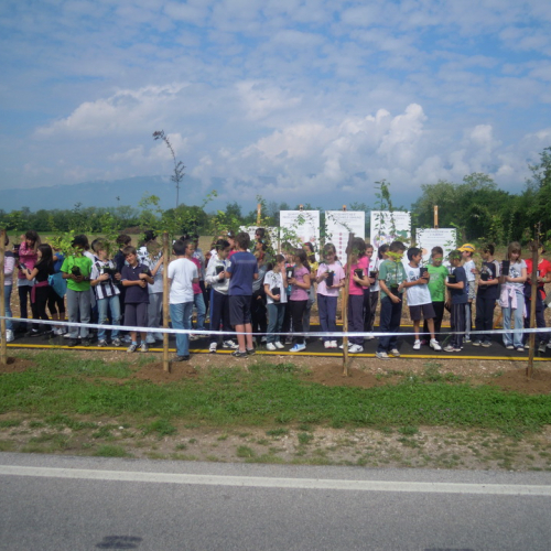 Piantumazione alberi 2 maggio n. 2 / 80060