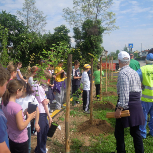 Piantumazione alberi 2 maggio n. 4 / 80062