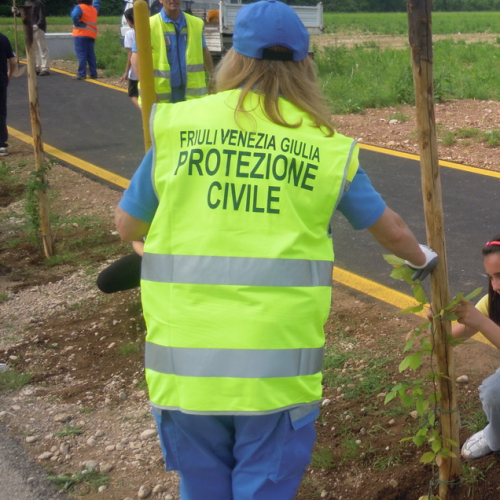 Piantumazione alberi 2 maggio n. 5 / 80063