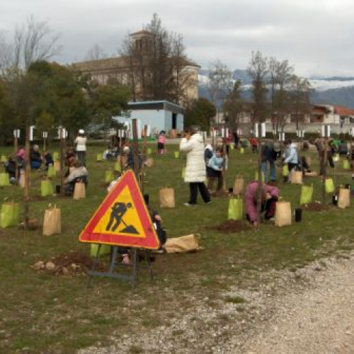 piantumazione alberi n.2.JPG / 21956