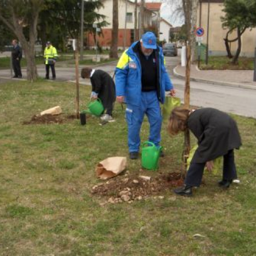 piantumazione alberi n.4.JPG / 21958