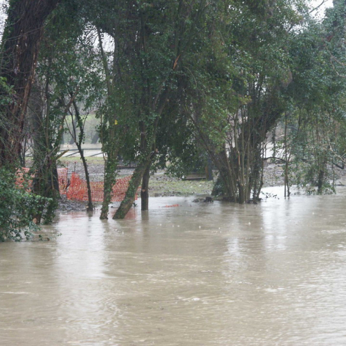 Interventi 21/01 n. 4 / 34432