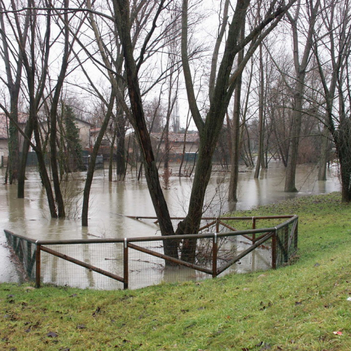 Interventi 21/01 n. 6 / 34434