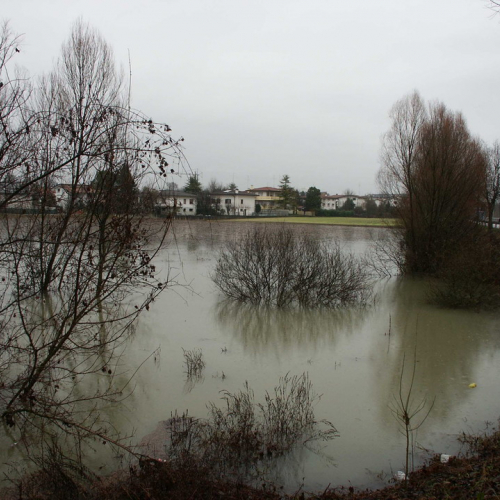 Interventi 21/01 n. 7 / 34435