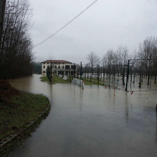 Interventi 21/01 n. 14 / 34442