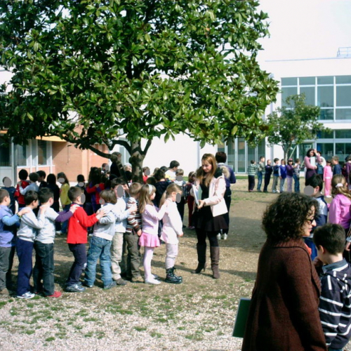 Prova evacuazione scuole n. 8 / 49911