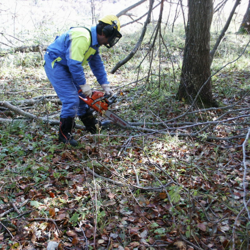 Esercitazione di Protezione civile 25/10 n. 5 / 44031