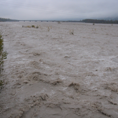 Attivit‡ di monitoraggio del territorio n. 6 / 87891