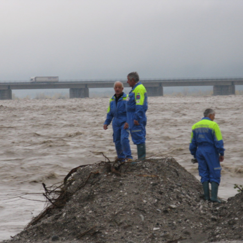 Attivit‡ di monitoraggio del territorio n. 11 / 87896