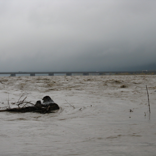 Attivit‡ di monitoraggio del territorio n. 12 / 87897