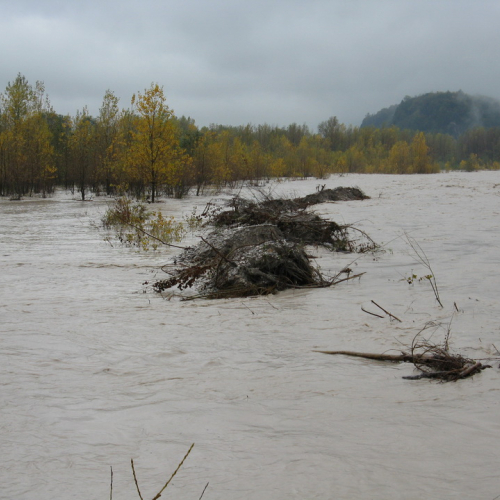 Attivit‡ di monitoraggio del territorio n. 16 / 87901