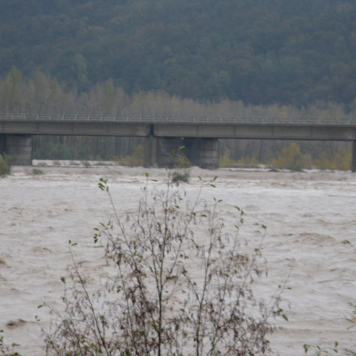 Attivit‡ di monitoraggio del territorio n. 18 / 87903