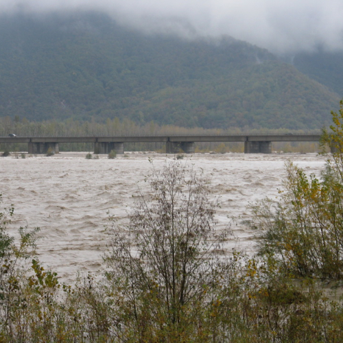 Attivit‡ di monitoraggio del territorio n. 19 / 87904
