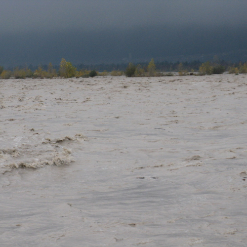 Attivit‡ di monitoraggio del territorio n. 21 / 87906