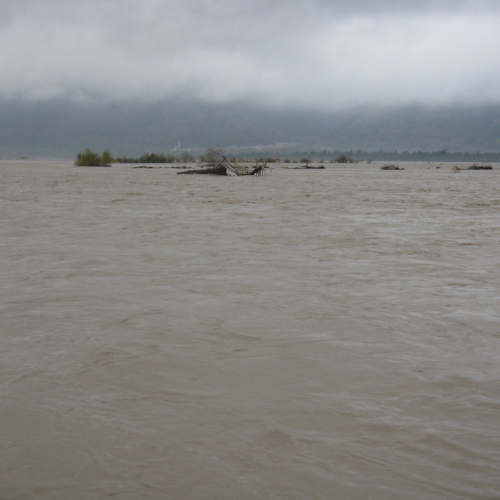 Attivit‡ di monitoraggio del territorio n. 24 / 87909