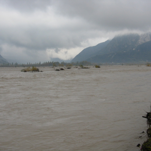 Attivit‡ di monitoraggio del territorio n. 25 / 87910