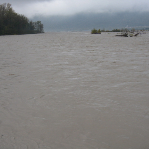 Attivit‡ di monitoraggio del territorio n. 26 / 87911