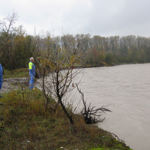 Attivit‡ di monitoraggio del territorio n. 27 / 87912
