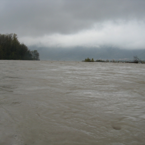 Attivit‡ di monitoraggio del territorio n. 28 / 87913