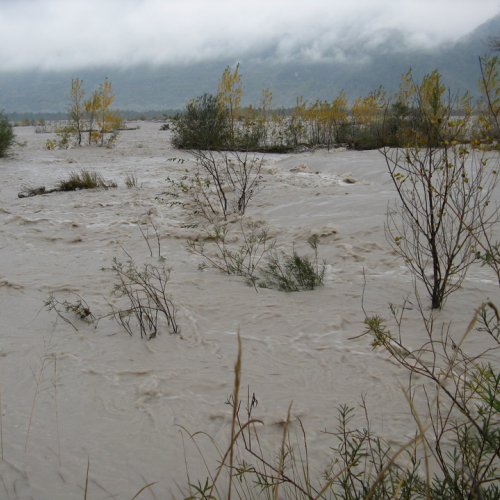Attivit‡ di monitoraggio del territorio n. 30 / 87915