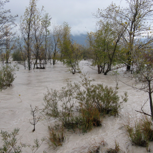 Attivit‡ di monitoraggio del territorio n. 31 / 87916