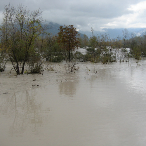 Attivit‡ di monitoraggio del territorio n. 32 / 87917