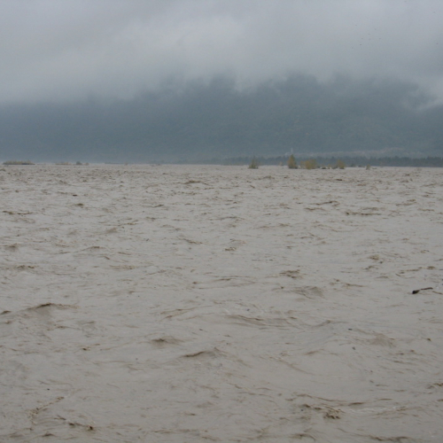 Attivit‡ di monitoraggio del territorio n. 37 / 87922