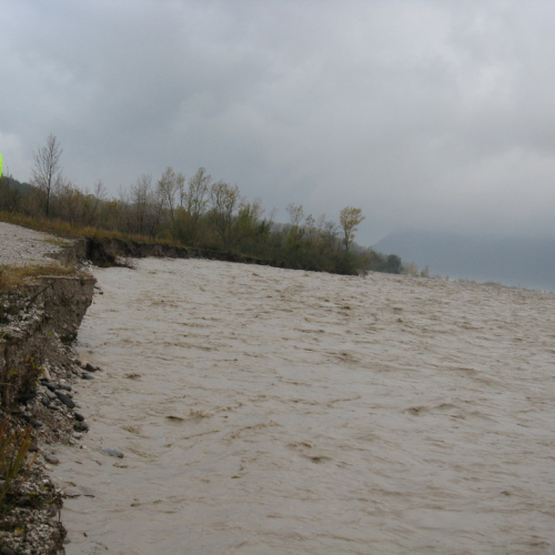 Attivit‡ di monitoraggio del territorio n. 39 / 87924