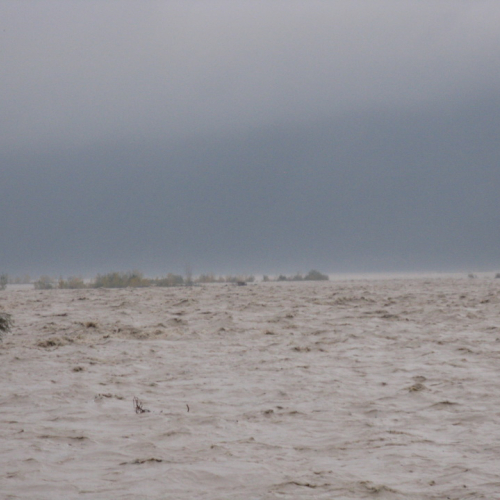 Attivit‡ di monitoraggio del territorio n. 41 / 87926