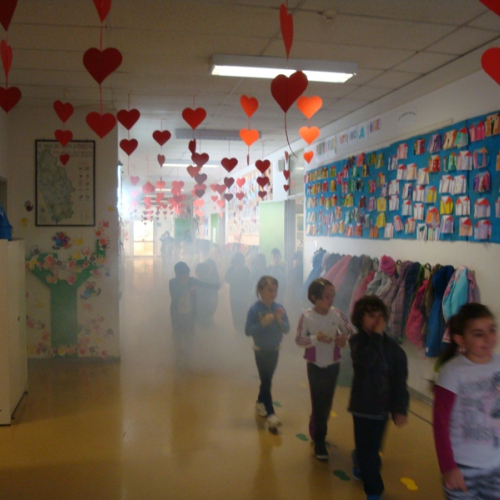 povoletto scuole / 115984