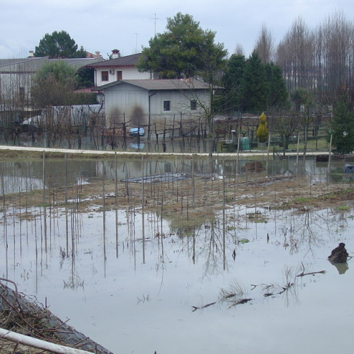 Prata di Pordenone n. 5 / 34341