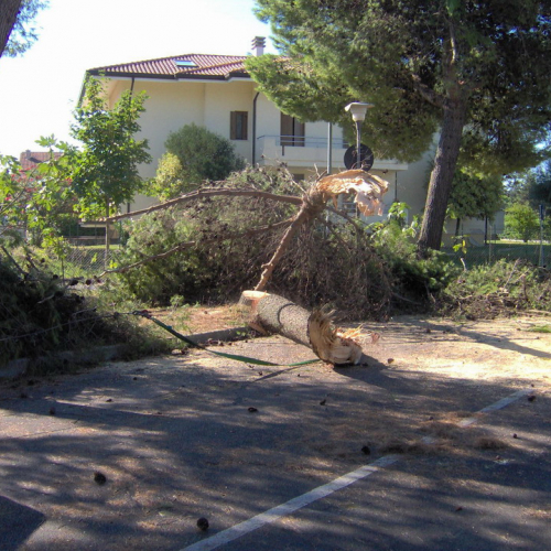 Volontari a Lignano  n. 8 / 28738