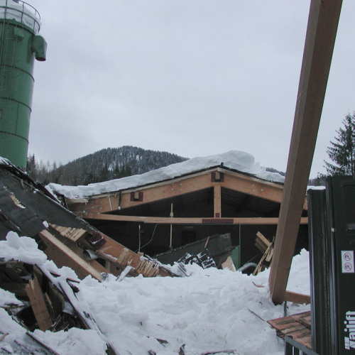 Sauris n. 14 / 33404