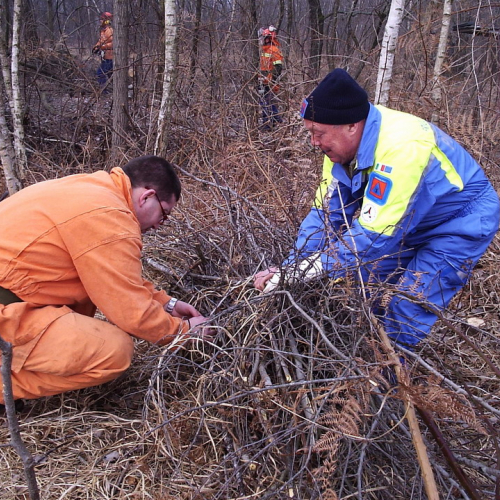 foto addestramento 23/02 n. 6 / 20922