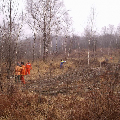 foto addestramento 23/02 n. 2 / 20923