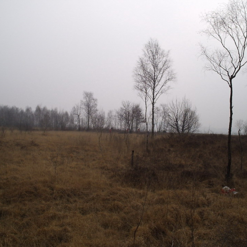 foto addestramento 23/02 n. 3 / 20924