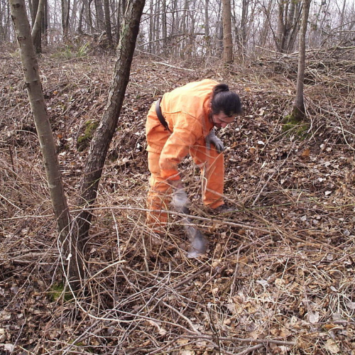 foto addestramento 23/02 n. 5 / 20926