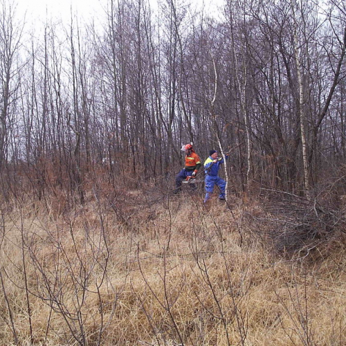 foto addestramento 23/02 n. 8 / 20929