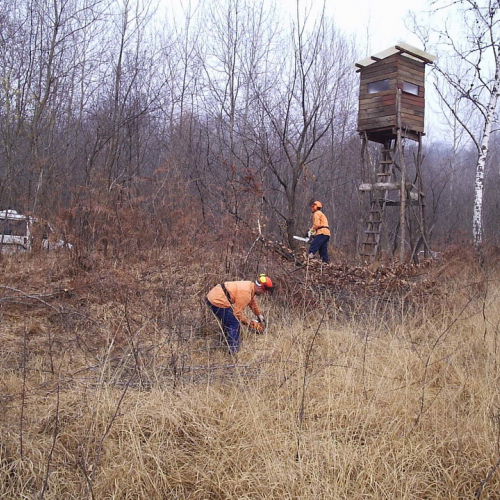 foto addestramento 23/02 n. 9 / 20930