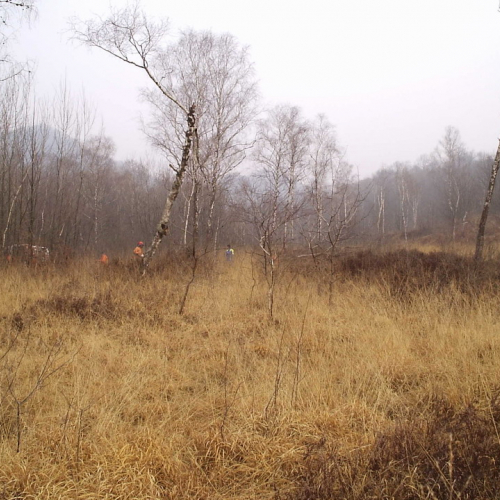 foto addestramento 23/02 n. 11 / 20932