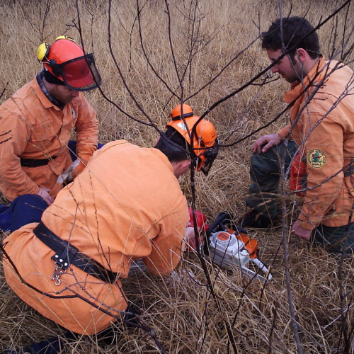 foto addestramento 23/02 n. 12 / 20933