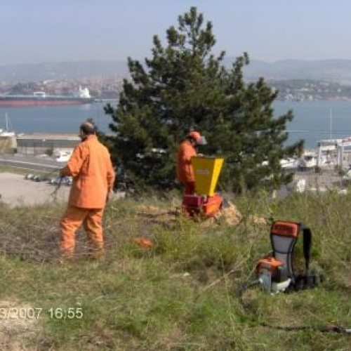 foto volontari Muggia 5 / 10296