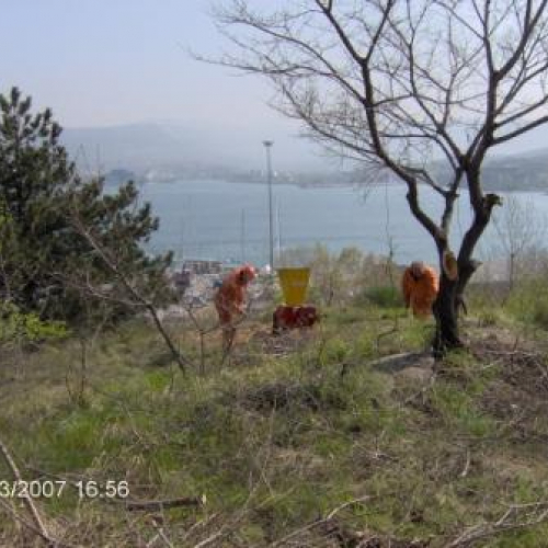 foto volontari Muggia 4 / 10295