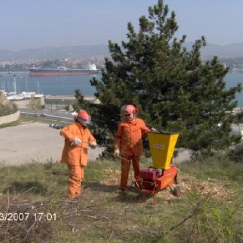 foto volontari Muggia 6 / 10297